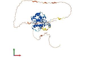 Protein Structure (PS) image for Thymine-DNA Glycosylase (TDG) (AA 1-421) protein (His tag) (ABIN7563457)