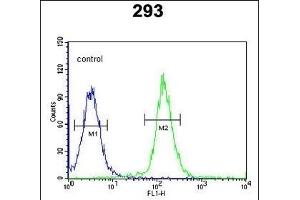 CDC45L Antibody (Center) (ABIN653837 and ABIN2843101) flow cytometric analysis of 293 cells (right histogram) compared to a negative control cell (left histogram). (CDC45 抗体  (AA 236-263))