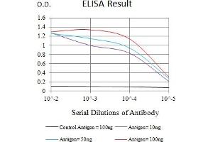 Black line: Control Antigen (100 ng),Purple line: Antigen (10 ng), Blue line: Antigen (50 ng), Red line:Antigen (100 ng) (Ectodysplasin A2 Receptor 抗体  (AA 1-138))