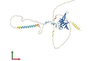 Protein Structure (PS) image for Smad Nuclear Interacting Protein 1 (SNIP1) (AA 1-383) protein (His tag) (ABIN7558689)