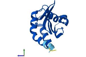 AlphaFold protein structure predicition of Human Recombinant LAMTOR3 Protein, UniprotID Q9UHA4