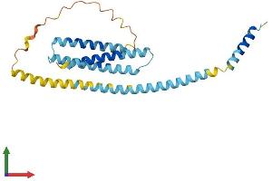 AlphaFold protein structure predicition of Mouse Recombinant Stx8 Protein, UniprotID O88983 (STX8 Protein (AA 1-236) (His tag))