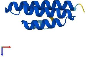 AlphaFold protein structure predicition of Human Recombinant LYRM9 Protein, UniprotID A8MSI8
