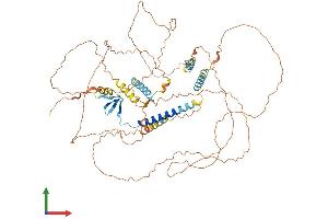 AlphaFold protein structure predicition of Mouse Recombinant Hjurp Protein, UniprotID Q6PG16