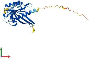 Protein Structure (PS) image for RAB38, Member RAS Oncogene Family (RAB38) (AA 1-211) protein (His tag) (ABIN7559607)