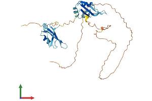 Protein Structure (PS) image for Musashi Homolog 2 (MSI2) (AA 1-328) protein (His tag) (ABIN7549482)