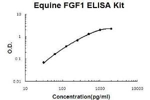 Horse equine FGF1 PicoKine ELISA Kit standard curve (FGF1 ELISA 试剂盒)