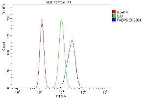 Flow Cytometry analysis of 293T cells using anti-FABP6 antibody (ABIN7598974). (FABP6 抗体  (AA 1-128))