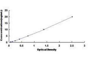Glutamate Receptor Interacting Protein 1 (GRIP1) ELISA Kit