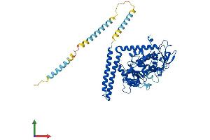 Protein Structure (PS) image for Fucosyltransferase 8 (Alpha (1,6) Fucosyltransferase) (FUT8) (AA 1-575) protein (His tag) (ABIN7556247)