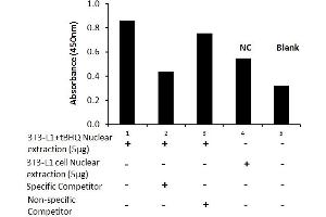 Transcription factor activity assay of mouse Nrf2 from nuclear extracts of 3T3-L1 cells or 3T3-L1 cells treated with tBHQ (90uM) for 24 hr with the specific competitor or non-specific competitor. (NRF2 ELISA 试剂盒)