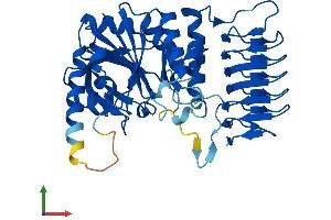 Protein Structure (PS) image for GDP-Mannose Pyrophosphorylase A (GMPPA) (AA 1-420) protein (His tag) (ABIN7560222)