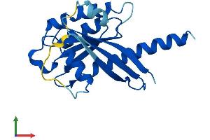 Protein Structure (PS) image for Intraflagellar Transport 27 Homolog (IFT27) (AA 1-186) protein (His tag) (ABIN7548432)