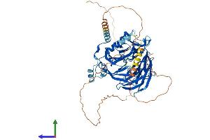 Protein Structure (PS) image for DDB1 and CUL4 Associated Factor 8 (DCAF8) (AA 1-591) protein (His tag) (ABIN7559591)