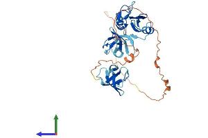 AlphaFold protein structure predicition of Human Recombinant GRAP2 Protein, UniprotID O75791
