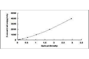 Lysosomal-Associated Membrane Protein 2 (LAMP2) ELISA Kit