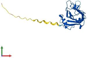 AlphaFold protein structure predicition of Mouse Recombinant Tldc2 Protein, UniprotID A2ACG1