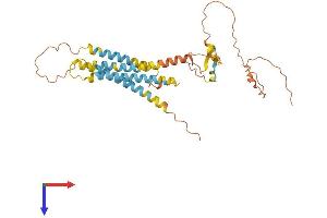 Transmembrane Protein 171 (TMEM171) (AA 1-324) protein (His tag)