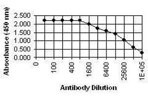 ELISA image for anti-CMV gB antibody (ABIN265541) (CMV gB 抗体)