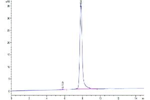 Size-exclusion chromatography-High Pressure Liquid Chromatography (SEC-HPLC) image for Basal Cell Adhesion Molecule (Lutheran Blood Group) (BCAM) (AA 32-547) protein (His tag) (ABIN7273932)