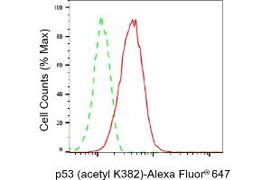 Flow cytometric analysis of p53 (acetyl K382) expression in HAP-1 cells using p53 (acetyl K382) antibody (ABIN7800683), 1:2,000). (Recombinant p53 抗体  (acLys382))