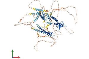 Protein Structure (PS) image for Myosin VIIA and Rab Interacting Protein (MYRIP) (AA 1-859) protein (His tag) (ABIN7554696)