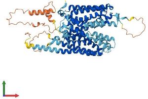 Protein Structure (PS) image for Solute Carrier Family 43, Member 2 (SLC43A2) (AA 1-568) protein (His tag) (ABIN7559323)