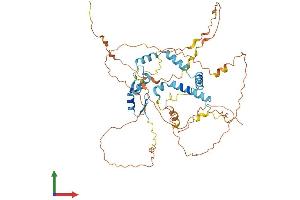 Protein Structure (PS) image for Nuclear Fragile X Mental Retardation Protein Interacting Protein 1 (NUFIP1) (AA 1-495) protein (His tag) (ABIN7550117)