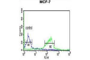 CI091 Antibody (C-term) flow cytometric analysis of MCF-7 cells (right histogram) compared to a negative control cell (left histogram). (C9ORF91 抗体  (C-Term))