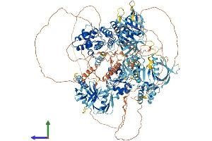 Protein Structure (PS) image for ArfGAP with RhoGAP Domain, Ankyrin Repeat and PH Domain 3 (ARAP3) (AA 1-1544) protein (His tag) (ABIN7552233)