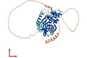 AlphaFold protein structure predicition of Human Recombinant RNMT Protein, UniprotID O43148