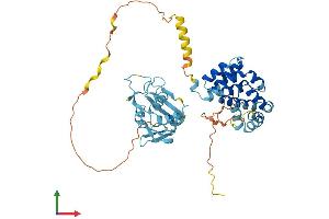AlphaFold protein structure predicition of Human Recombinant EIF5 Protein, UniprotID P55010