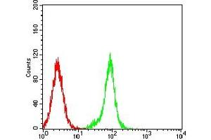 Flow Cytometry (FACS) image for anti-Sperm Autoantigenic Protein 17 (SPA17) (AA 1-152) antibody (ABIN7193607)