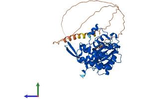 Protein Structure (PS) image for CDC like Kinase 1 (CLK1) (AA 1-484) protein (His tag) (ABIN7546563)