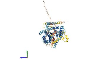 Protein Structure (PS) image for Solute Carrier Family 9, Subfamily A (NHE9, Cation Proton Antiporter 9), Member 9 (SLC9A9) (AA 1-644) protein (His tag) (ABIN7559028)