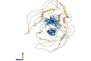 Protein Structure (PS) image for Palladin, Cytoskeletal Associated Protein (PALLD) (AA 1-1383) protein (His tag) (ABIN7554844)