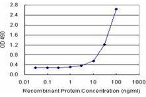 Sandwich ELISA detection sensitivity ranging from 1 ng/mL to 100 ng/mL. (PPP2R3B (人) Matched Antibody Pair)