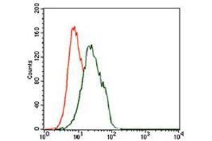 Flow cytometric analysis of Jurkat cells using FOXP1 mouse mAb (green) and negative control (red).