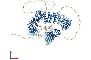 AlphaFold protein structure predicition of Human Recombinant AP3B1 Protein, UniprotID O00203