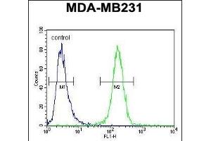 C4orf34 Antibody (C-term) (ABIN651629 and ABIN2840335) flow cytometric analysis of MDA-M cells (right histogram) compared to a negative control cell (left histogram). (SMIM14 抗体  (C-Term))