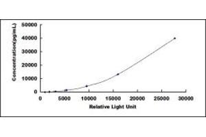 ELISA image for Mucin 5AC, Oligomeric Mucus/gel-Forming (MUC5AC) CLIA Kit (ABIN1450238)