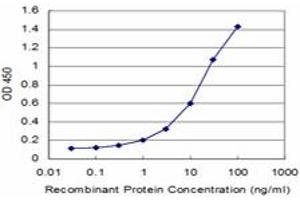 Detection limit for recombinant GST tagged USP9X is approximately 0. (USP9X 抗体  (AA 1-90))