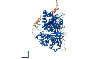 AlphaFold protein structure predicition of Mouse Recombinant Mtrr Protein, UniprotID Q8C1A3