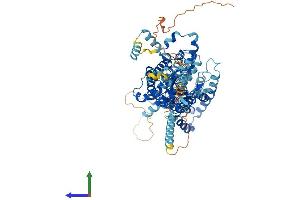 Protein Structure (PS) image for Solute Carrier Family 26 (Sulfate Transporter), Member 2 (SLC26A2) (AA 1-739) protein (His tag) (ABIN7557778)