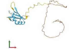 Protein Structure (PS) image for Cold Inducible RNA Binding Protein (CIRBP) (AA 1-172) protein (His tag) (ABIN7556564)