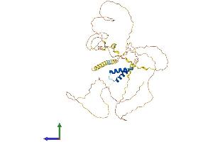 Protein Structure (PS) image for TOX High Mobility Group Box Family Member 2 (TOX2) (AA 1-488) protein (His tag) (ABIN7544663)