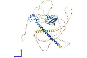 Protein Structure (PS) image for Deformed Epidermal Autoregulatory Factor 1 (Drosophila) (DEAF1) (AA 1-565) protein (His tag) (ABIN7553627)