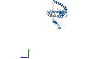 AlphaFold protein structure predicition of Human Recombinant ISY1 Protein, UniprotID Q9ULR0
