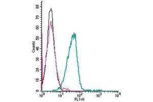 Flow Cytometry (FACS) image for anti-ATPase, Na+/K+ Transporting, beta 2 Polypeptide (ATP1B2) (AA 99-112), (Extracellular) antibody (ABIN7042952)