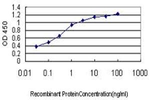 Detection limit for recombinant GST tagged RNF127 is approximately 0. (LONRF3 抗体  (AA 1-90))